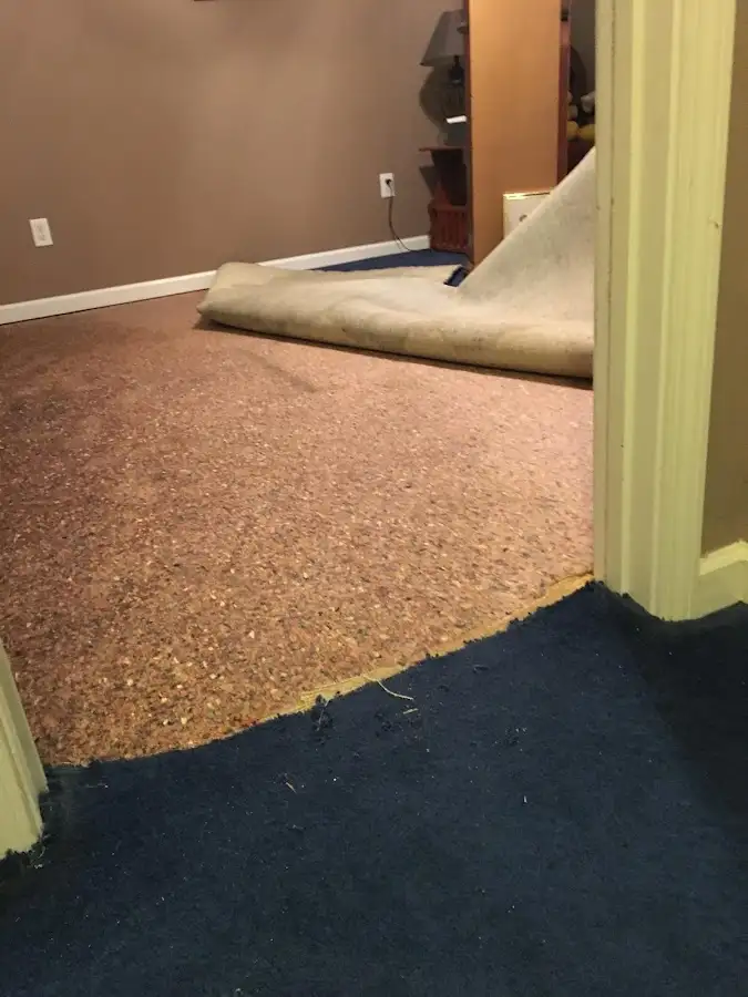 Carpet pad removal revealing water damage during Water Mitigation Services in Panthersville